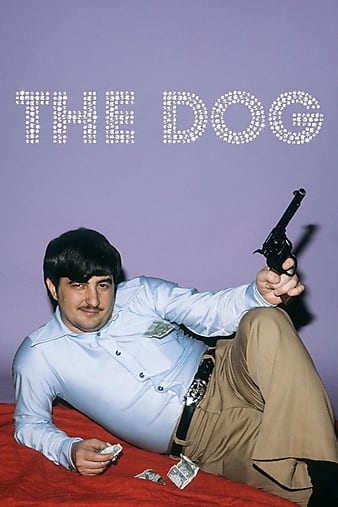 蹷 The Dog