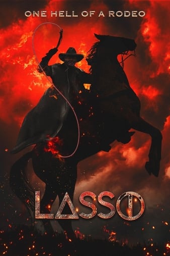  Lasso