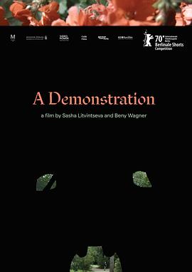 һչʾ A Demonstration