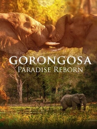 Gorongosa: Paradise Reborn