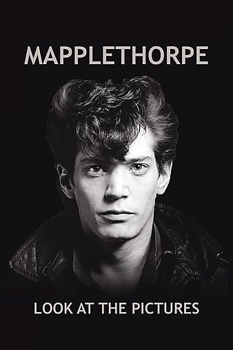 ޲÷գЩƬ Mapplethorpe: Look at the Pictures