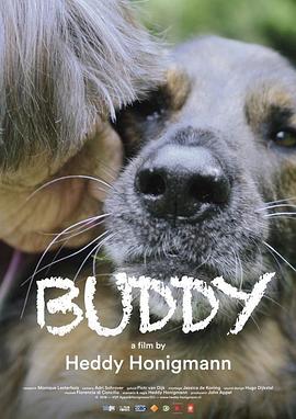  Buddy