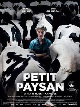 Сũ Petit Paysan