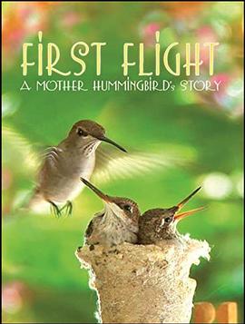 First Flight: A Mother Hummingbird\'s Story