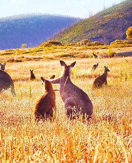  Kangaroo Valley