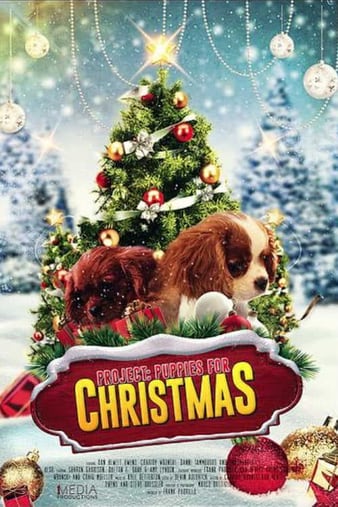 ʥƻ Project: Puppies for Christmas