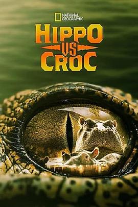 Hippo vs Croc