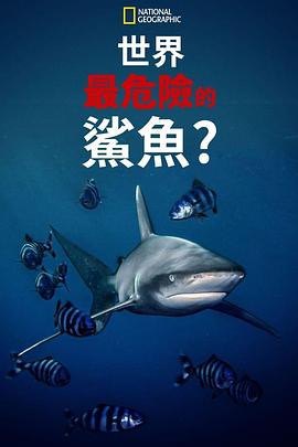 Σյ㣿 World\'s Most Dangerous Shark