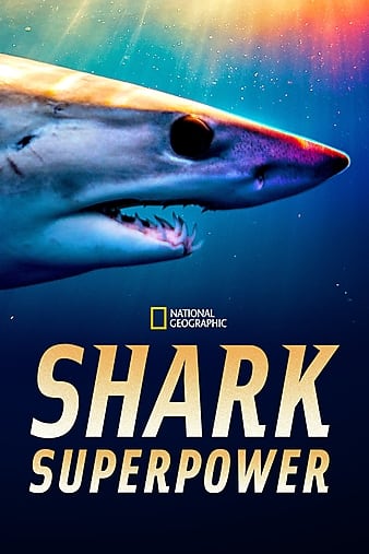  Shark Superpower