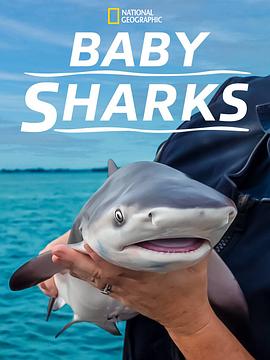 㱦ɳ Baby Sharks