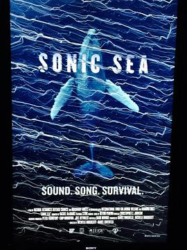  Sonic Sea