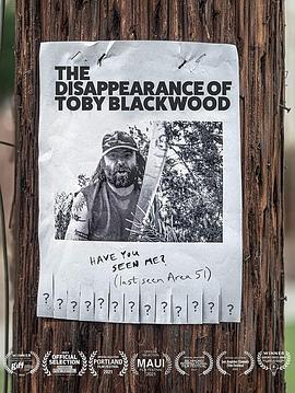 The Disappearance of Toby Blackwood