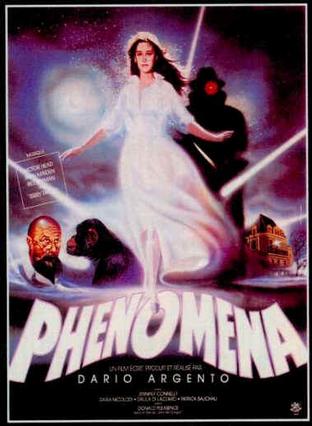  Phenomena