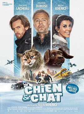 èҶ Chien et Chat