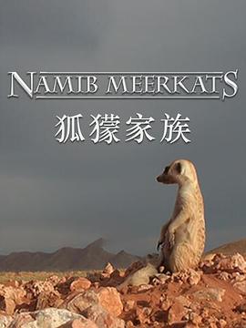  Clan of the Meerkat