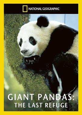 ȴè Giant Pandas - The Last Refuge