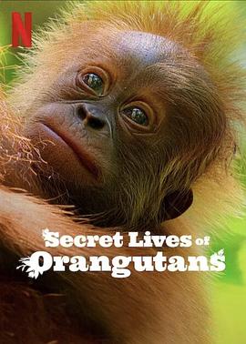 ëɵ Secret Lives of Orangutans