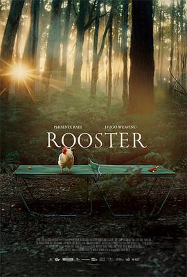  The Rooster